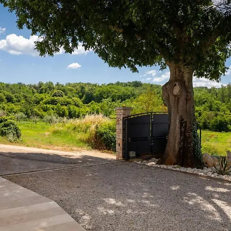 Rustic Zvonar With Pool In Motovun