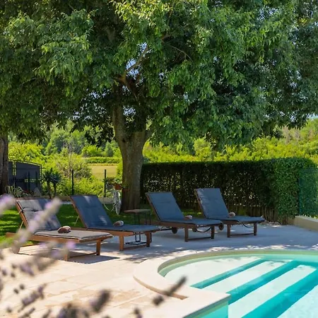 Rustic Zvonar With Pool In Motovun Villa *