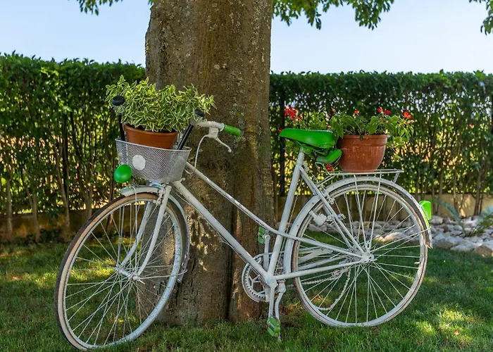Vila Rustic Zvonar With Pool In Motovun Rakotule
