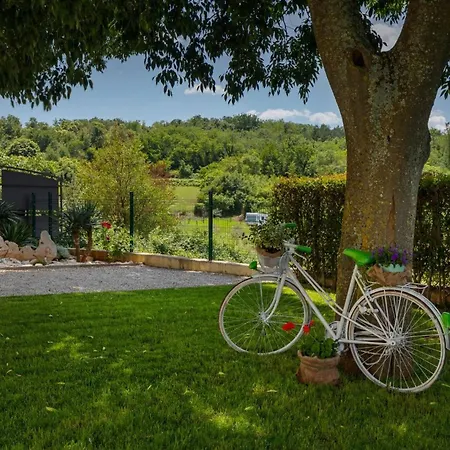 Villa Rustic Zvonar With Pool In Motovun Rakotule