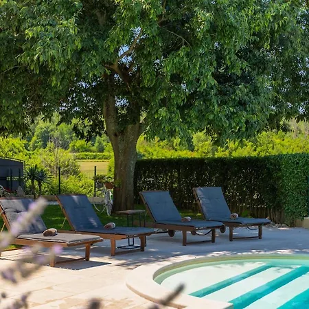 Rustic Zvonar With Pool In Motovun Villa *