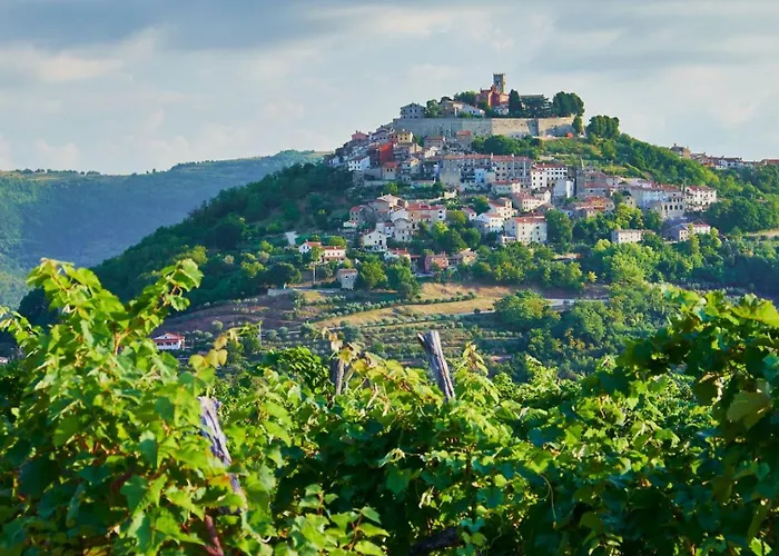 Rustic Zvonar With Pool In Motovun Vila